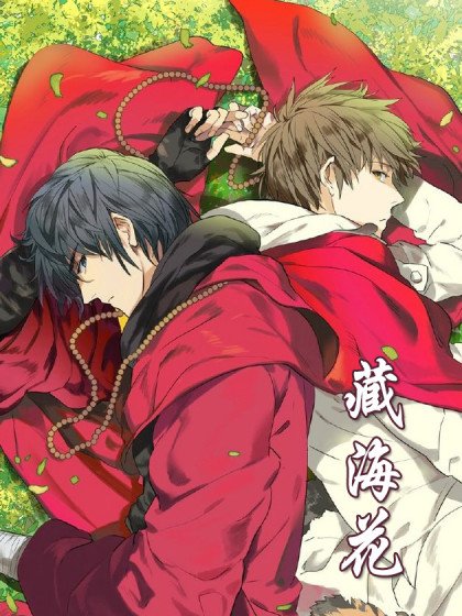 藏海花封面